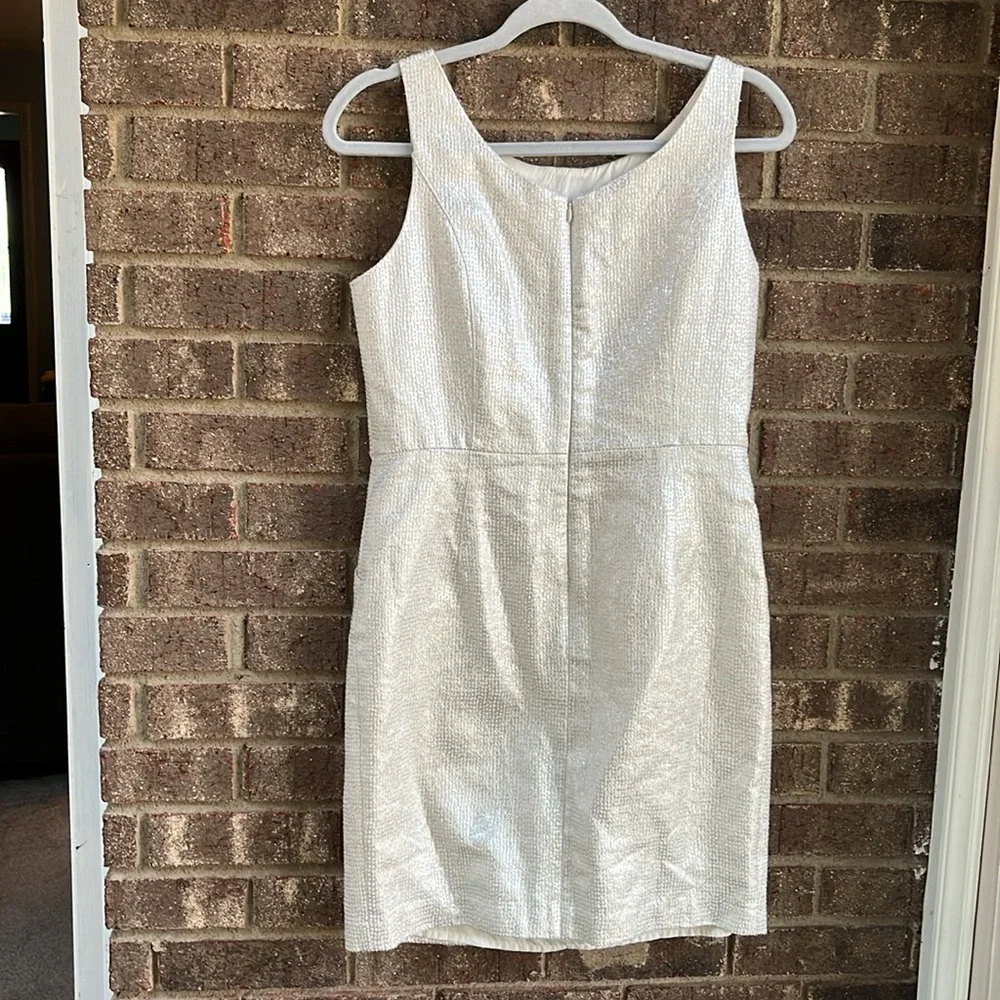 Dalia Elegant Silver Shimmer Sleeveless Dress with pockets size 6 - Picture 5 of 10
